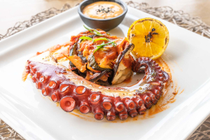 Octopus